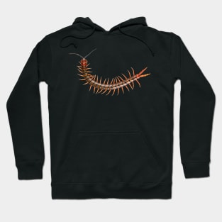 Giant Centipede Creepy Crawly Hoodie